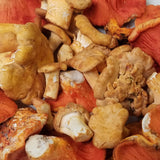 Wild Foraged Chanterelle and Lobster Mushroom Combo Box