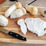 Wild Foraged Chanterelle and Matsutake Mushroom Combo Box