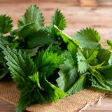 Wild Foraged Nettles